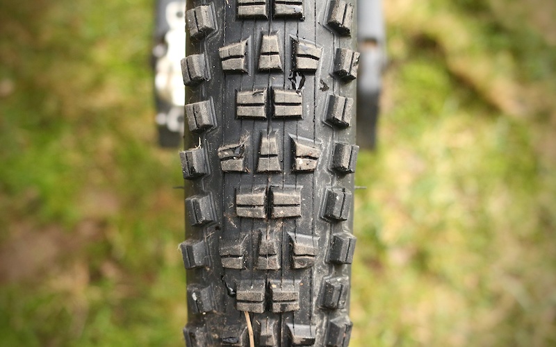 wilderness trail bikes tires