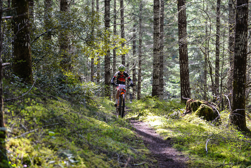 Blodgett, Oregon Mountain Biking Trails Trailforks