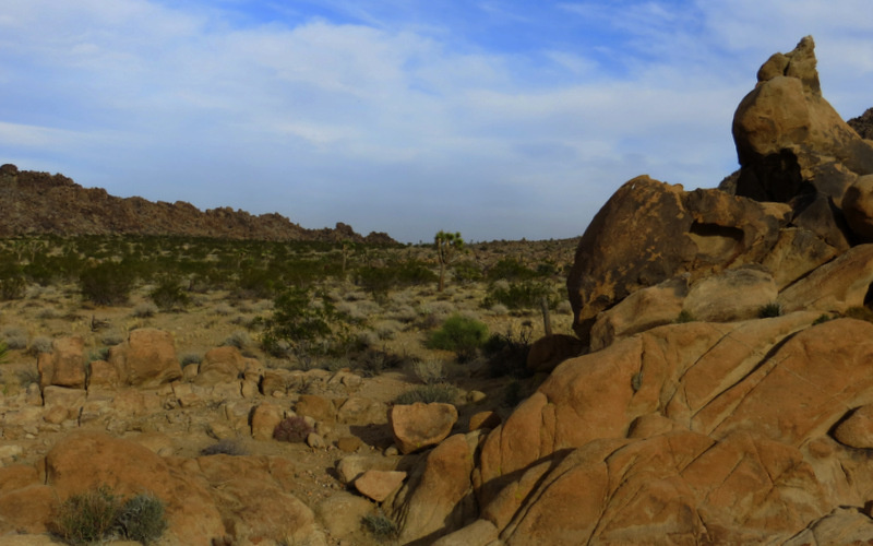 It is a desert landscape mainly made up of rocks, rock formations, boulders, granite, and more rocks.