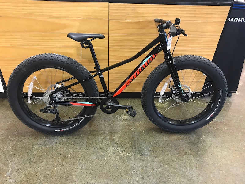 specialized fatboy pro