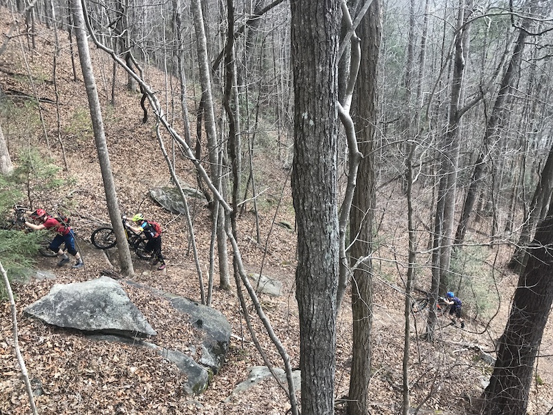 Green River Cove Multi Trail Hendersonville, NC