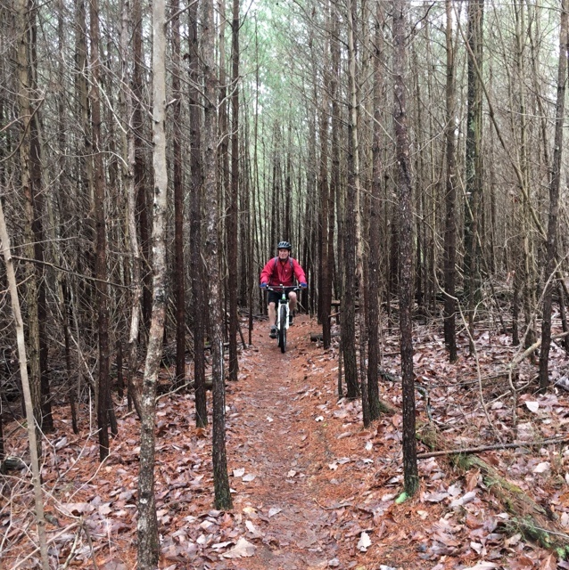 Tennessee Mountain Biking Trails | Trailforks