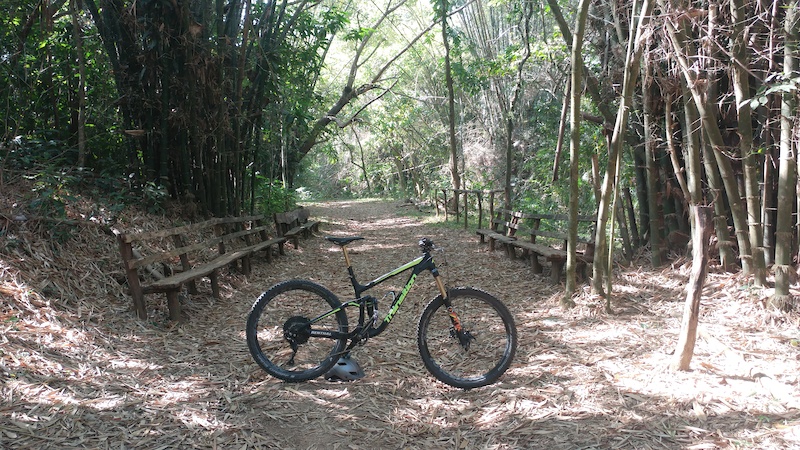 timberland bike trail