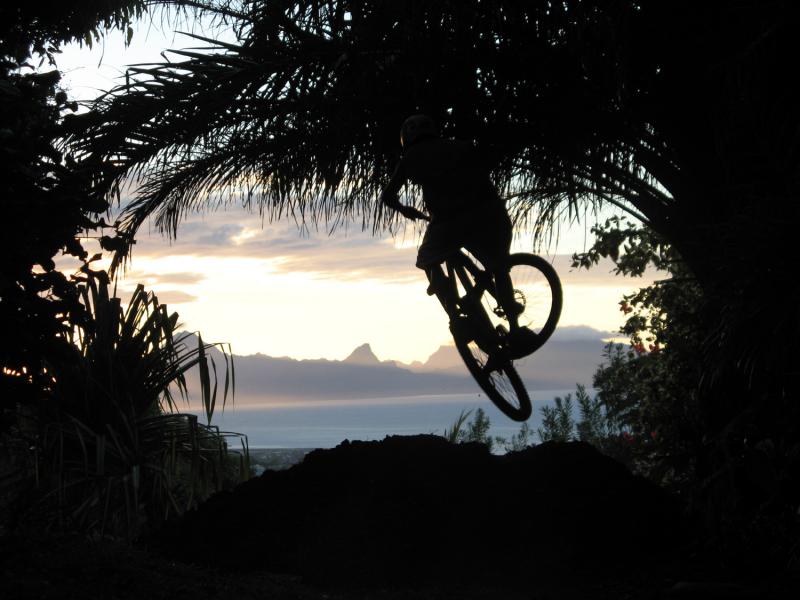 Juste riding my new garden' trail