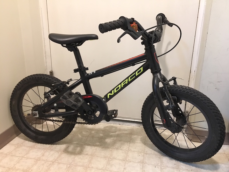 Norco 2024 blaster 12