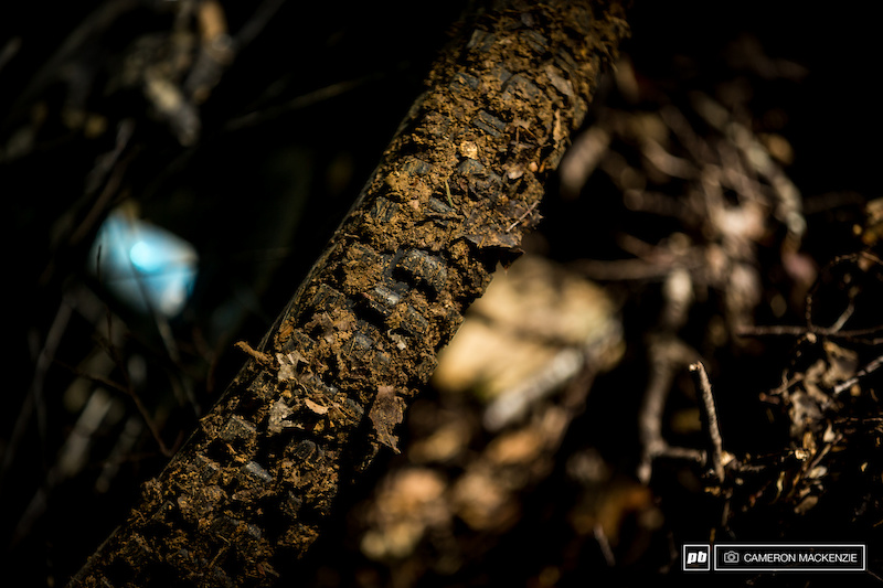 devils lake mountain biking