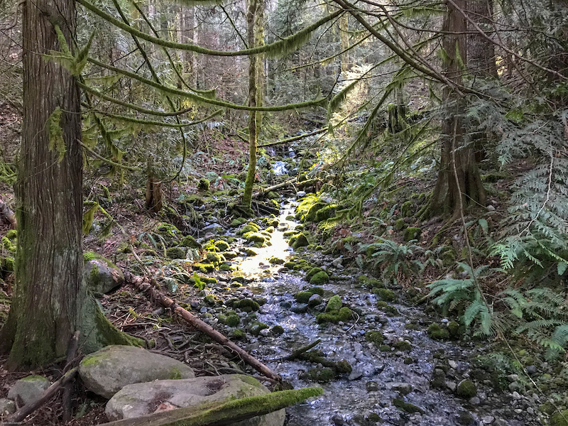 Heart Lake Trail Multi Trail - Ladysmith, BC