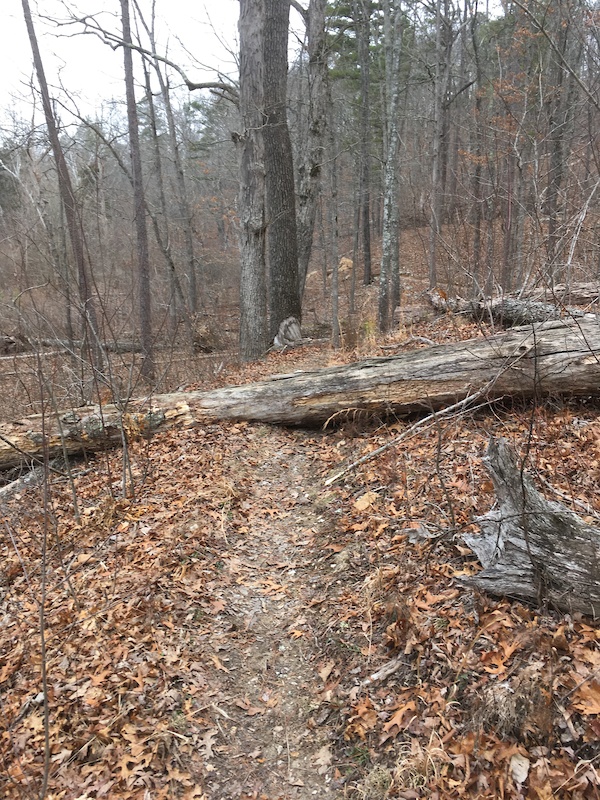 paved bike trails lake of the ozarks