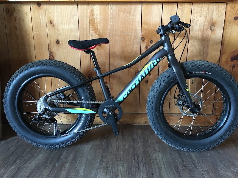 specialized fatboy 20 for sale