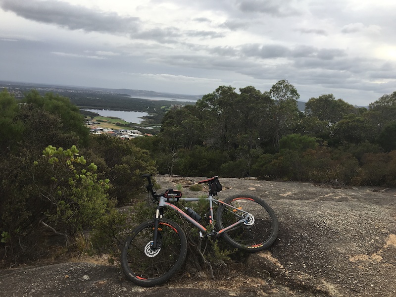 Pilot Trail Mountain Biking Trail Albany Trailforks