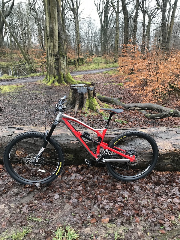 muddyfox flare mountain bike