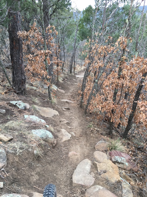 Wagon Road Multi Trail Cedar Crest, New Mexico