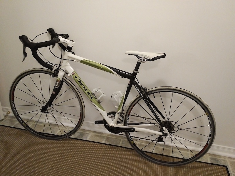 2010 Opus Sibelius For Sale