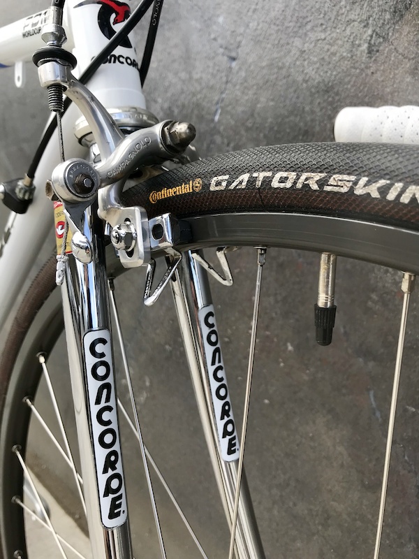 1988 Concorde PDM World Cup | *Price Dropped* For Sale