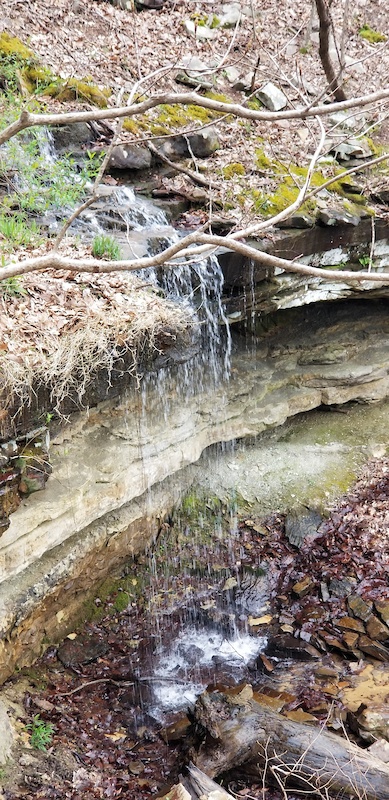 South Plateau Loop Multi Trail - Huntsville, Alabama