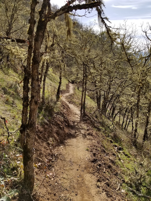 Jacksonville Forest Park Mountain Biking Route Trailforks