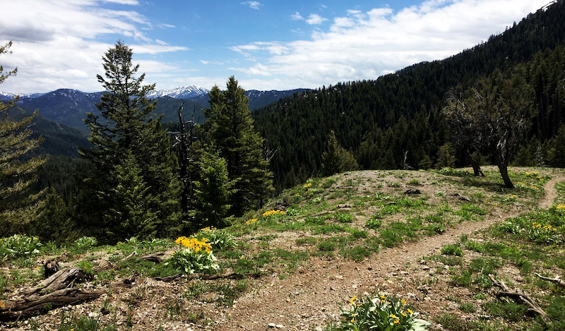 Fleming Canyon Mountain Biking Trail - Victor, Idaho