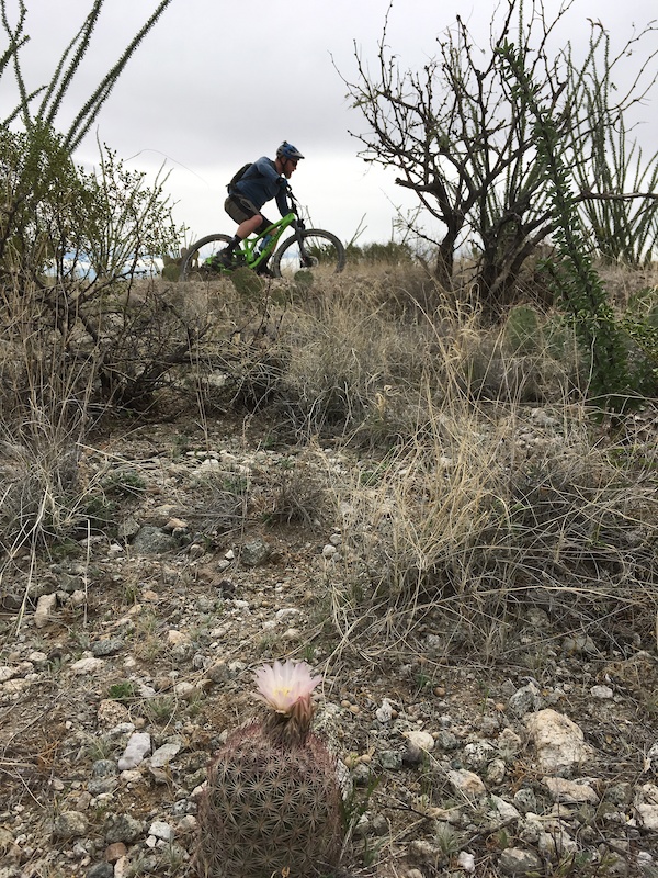 McKenzie Ranch Mountain Biking Trails Trailforks