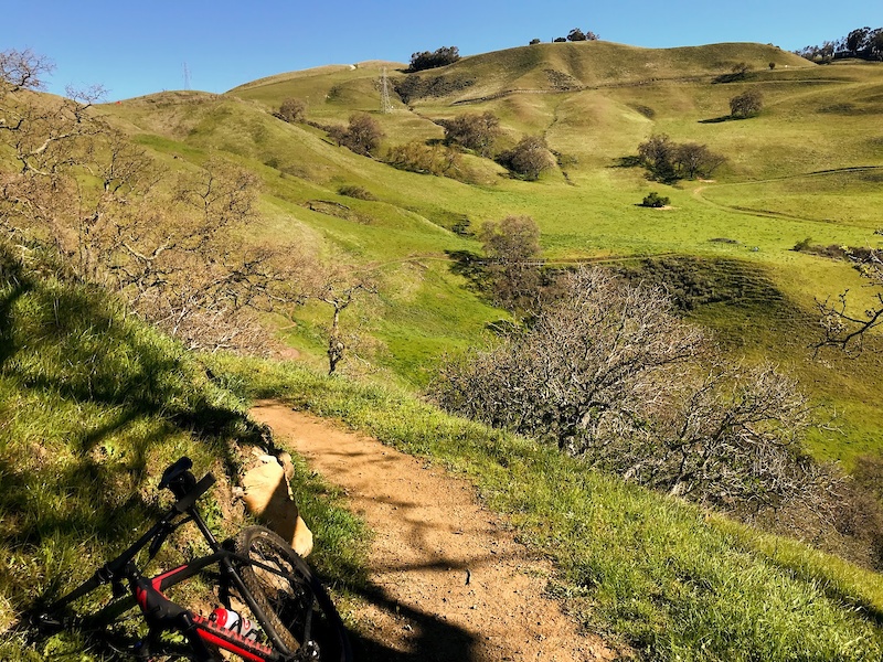 Alum Rock Park Mountain Biking Trails Trailforks