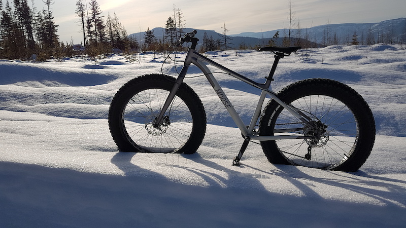 fat moose cycles