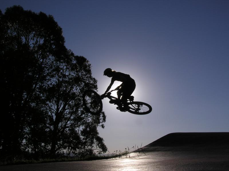 awesome silhouette photo