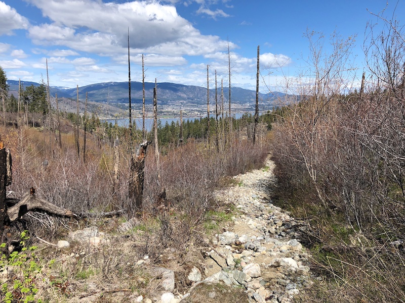 okanagan bike trail