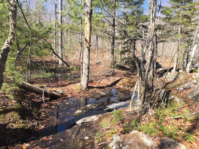 Rail Trail Mountain Biking Trail Dedham, Maine