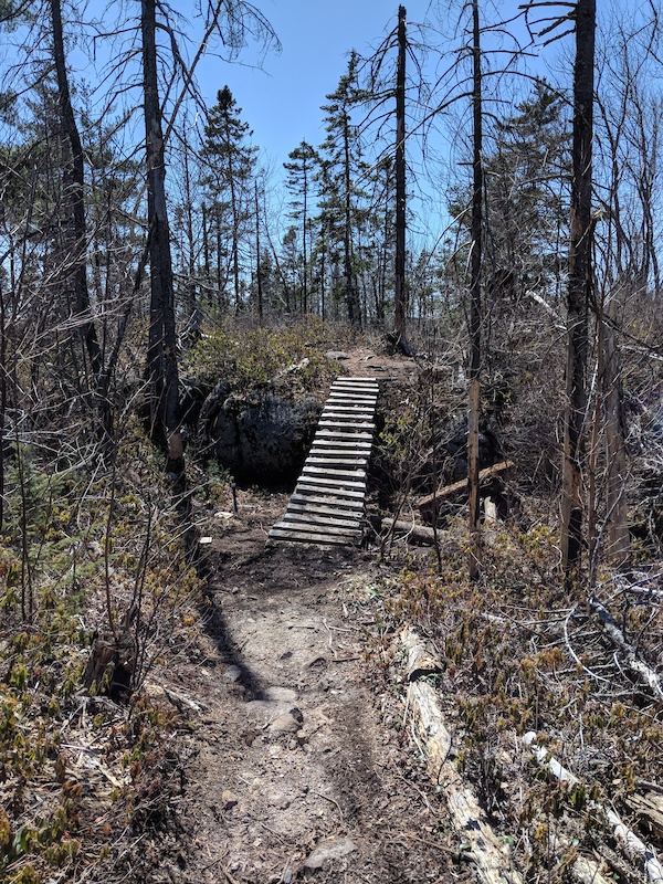 Flat Lake Loop (Bloodline) Mountain Biking Trail Halifax