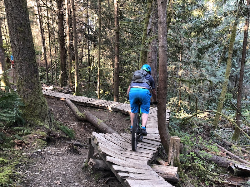 Cedar Run Mountain Biking Trail Maltby, Washington