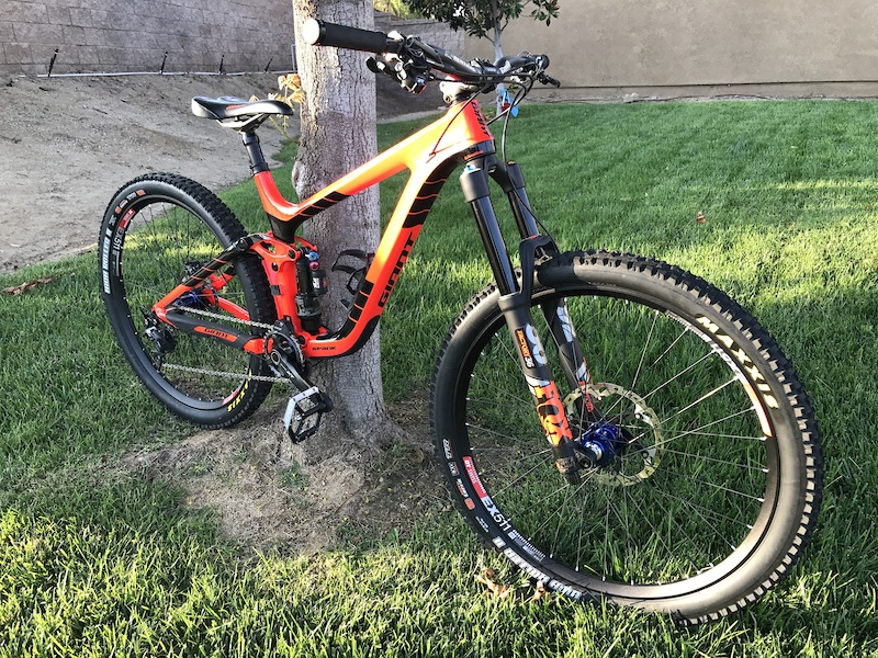 reign advanced 1 2017