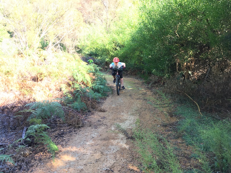 Samseb Mountain Biking Trail - Jarrahdale | Trailforks