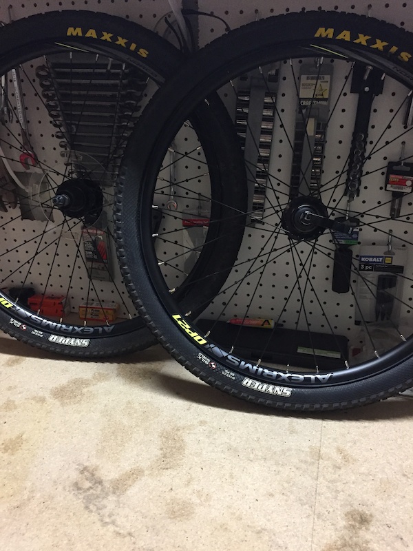 alex dp21 trs rims