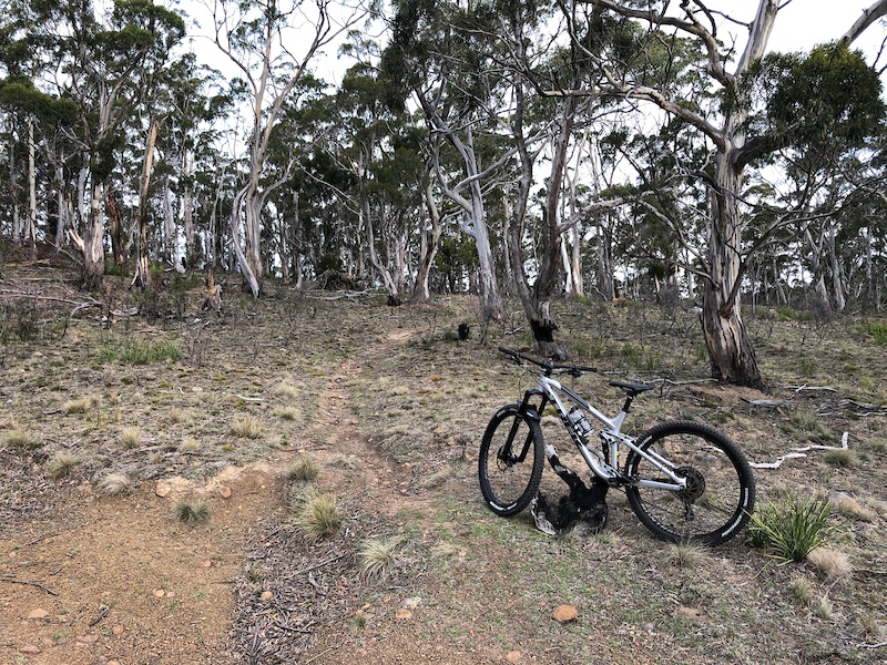 Ribbon Track Mountain Biking Trail - Hobart | Trailforks