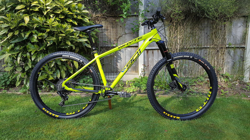 whyte 805 x8