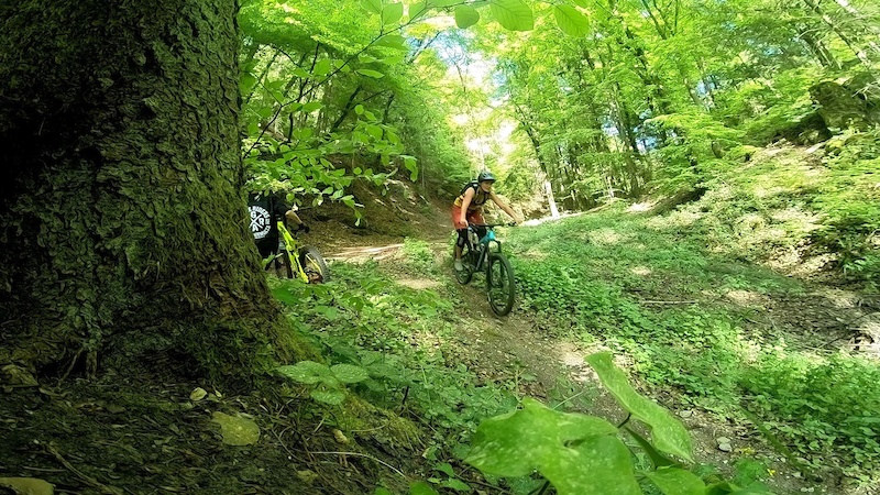 Landkreis Neumarkt In Der Oberpfalz Mountain Biking Trails Trailforks