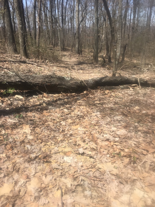 26 Mountain Biking Trail Glen Jean, West Virginia