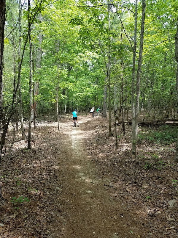 laurel hill mountain bike trails