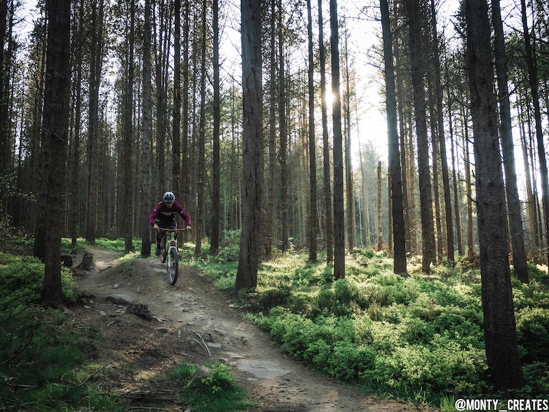 DH3 Mountain Biking Trail - Greno Woods, Sheffield