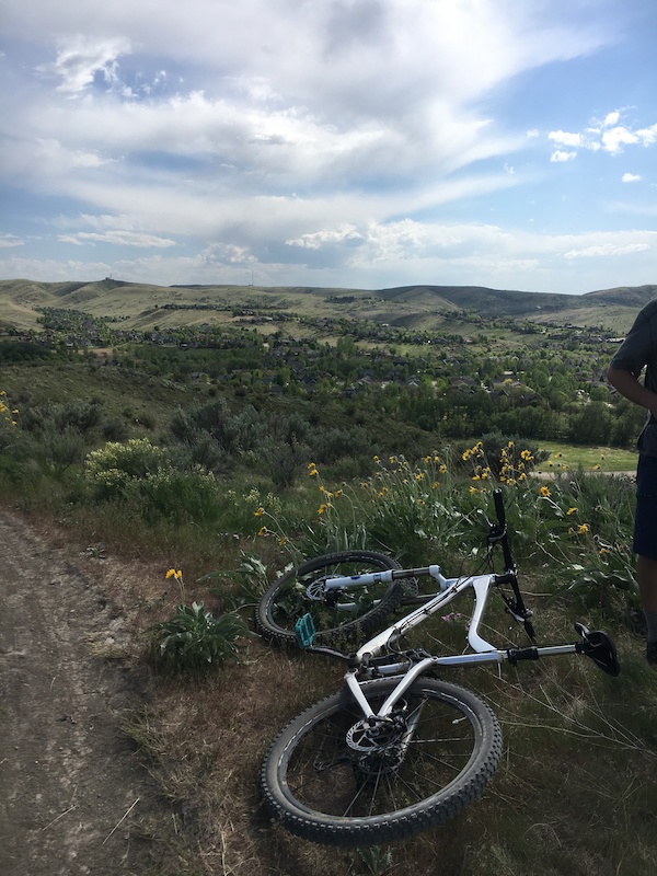 Red Tail Trail Multi Trail Boise, Idaho Trailforks