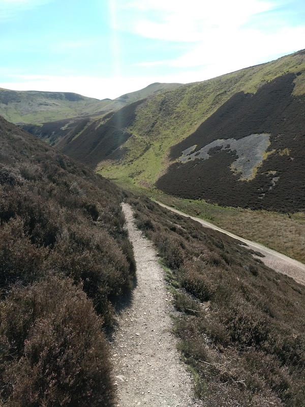 The Howe Mountain Biking Trail Edinburgh Trailforks