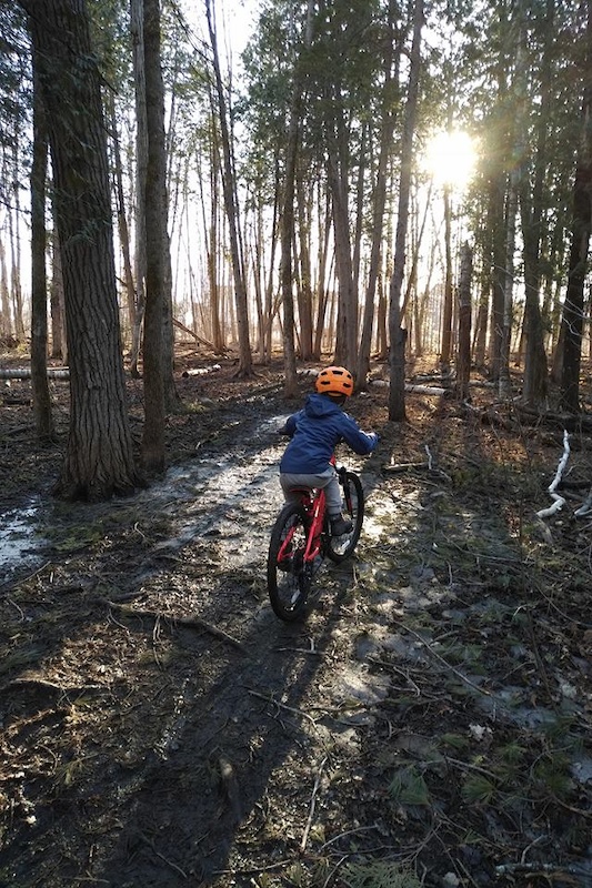 Nice trail for kids in the Foret Boucher.