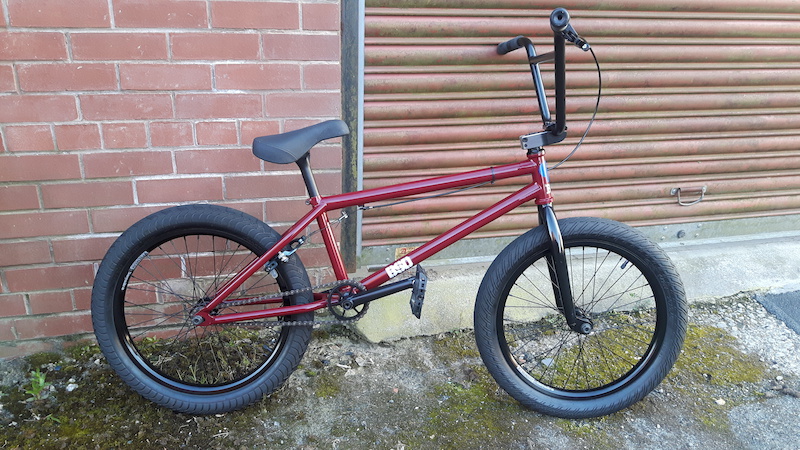 bsd raider