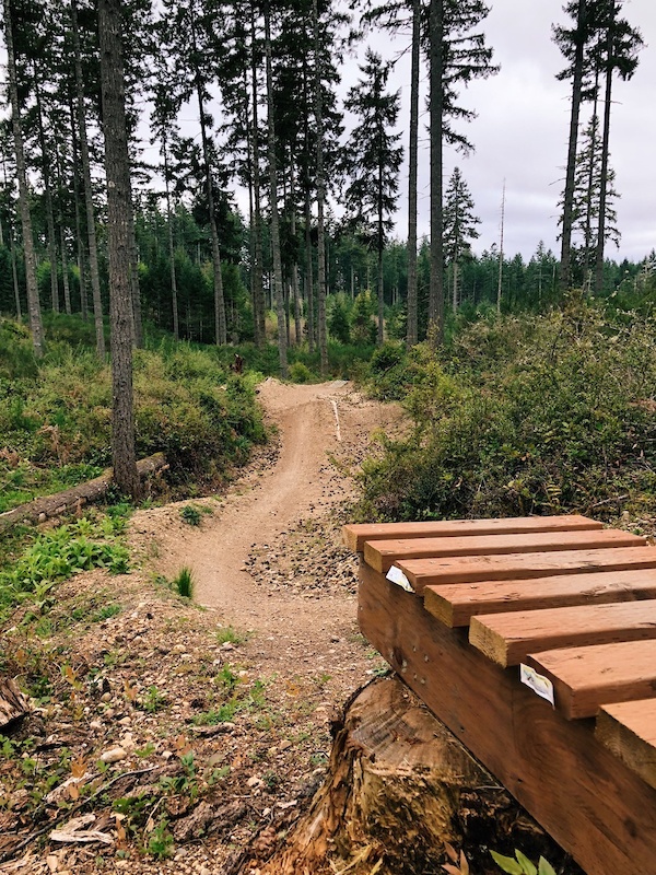 Ms.Fits Line Mountain Biking Trail Gig Harbor, WA