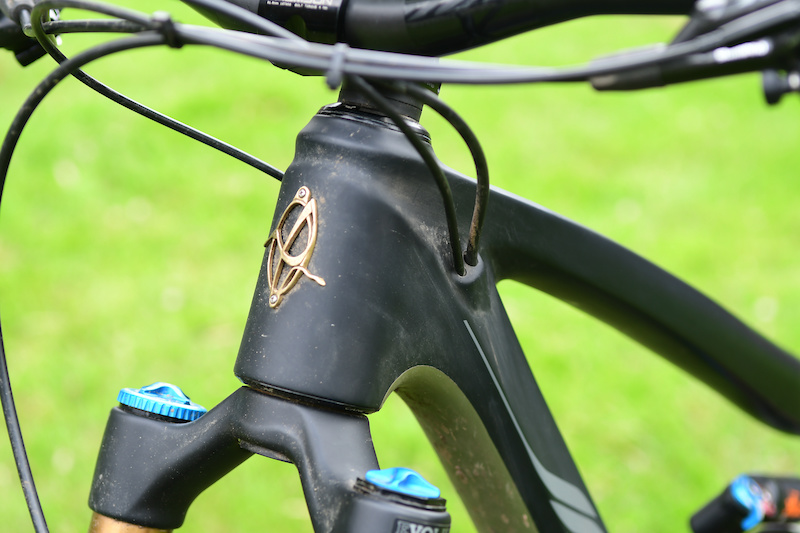 2019 ibis ripmo v1