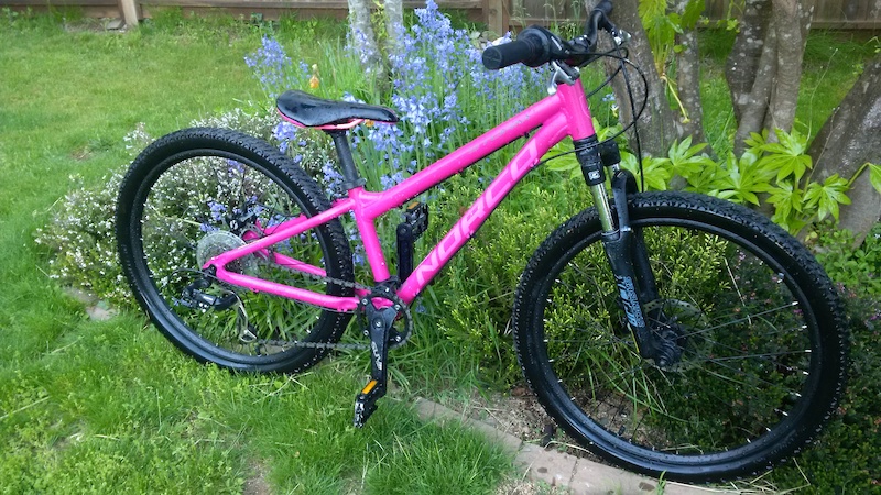 2017 norco storm 9.1