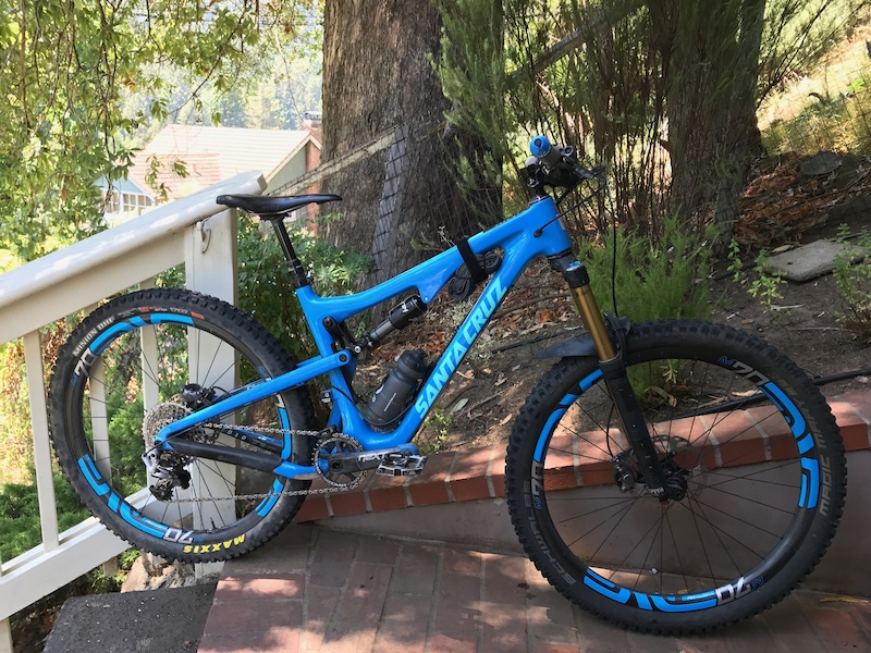 santa cruz 5010 loosely blue