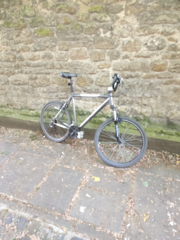 Dawes 2024 xc 1.4