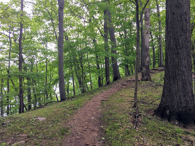 Manor Ridge Mountain Biking Trail - Towson, Maryland