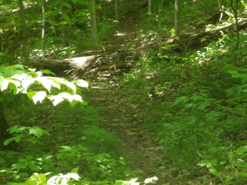Lake Trail Mountain Biking Trail Zanesville, Ohio
