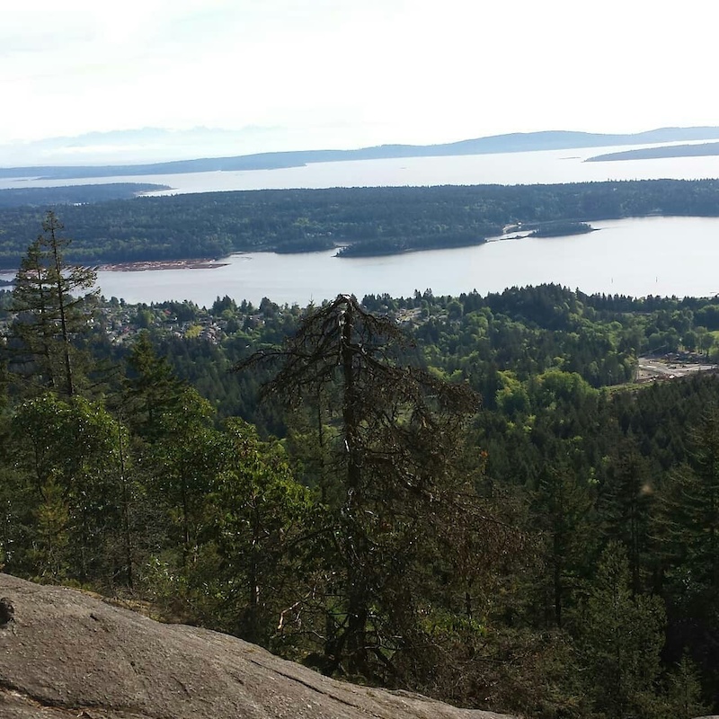 Heart Lake Trail Face Hiking Trail - Ladysmith, BC